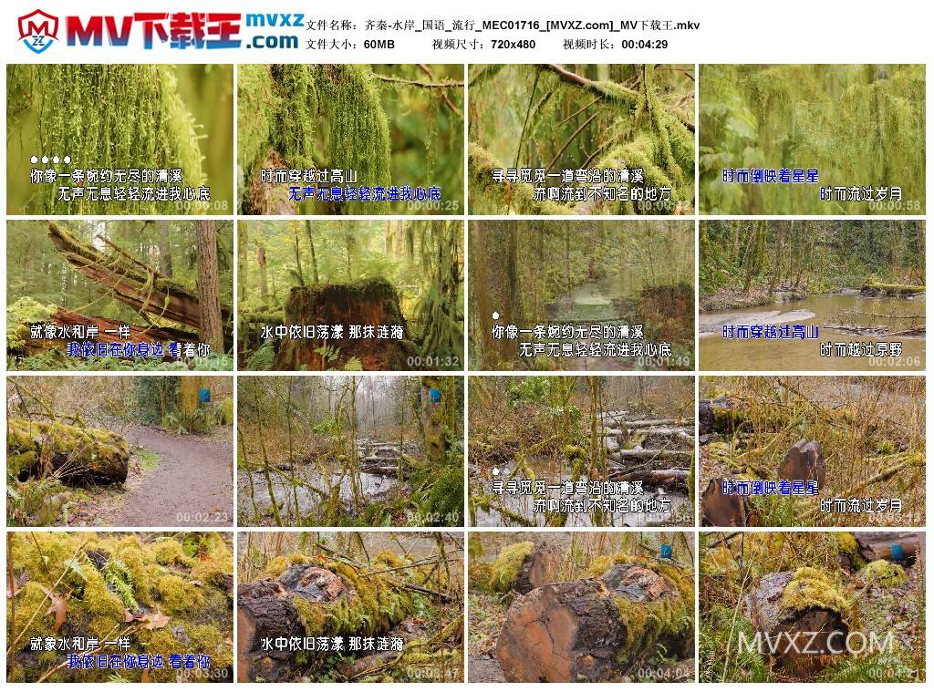 齐秦-水岸_国语_流行_MEC01716